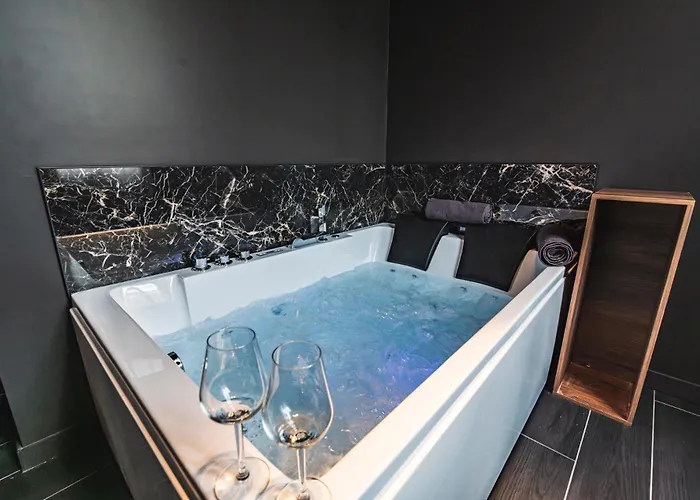 Balnéo Des Sacres-reims-centre Appartement Reims