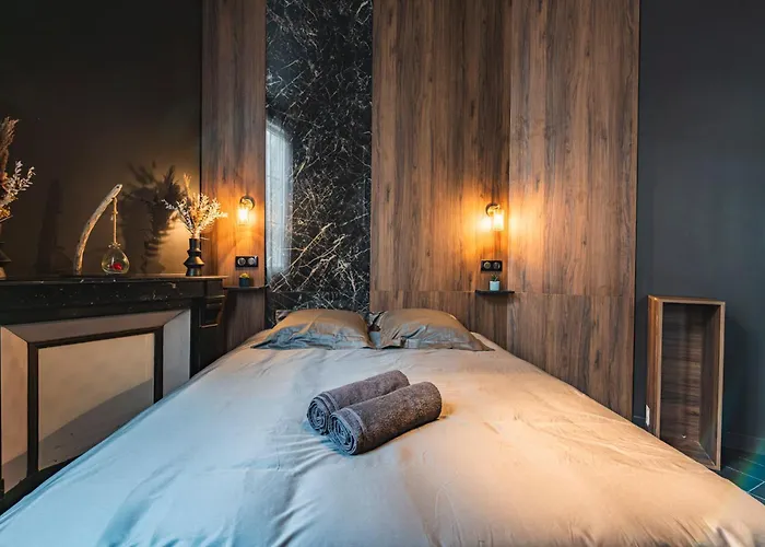 Balneo Des Sacres-reims-centre Apartment *