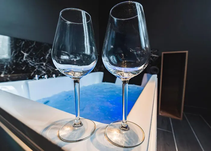 Balnéo Des Sacres-reims-centre Appartement *