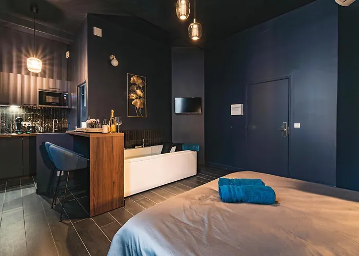 Balneo Des Sacres-reims-centre Apartment