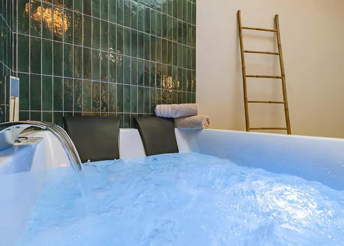 Balneo Des Sacres-reims-centre Apartment *